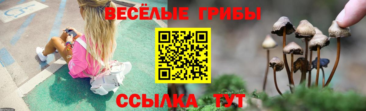 Псилоцибиновые грибы Psilocybe  Псилоцибиновые грибы Psilocybe  где продают   Вход с VPN  Волоколамск 
